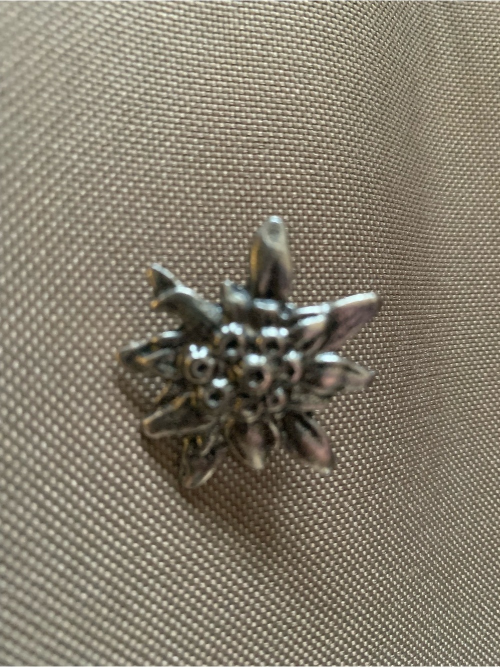 Silver Floral Star Brooch - Women's Accessory